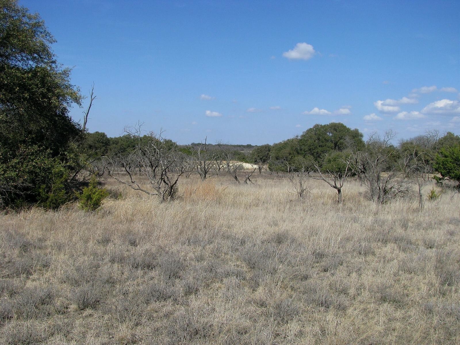 Tbd Fm 2842 Pottsville TX 76565
