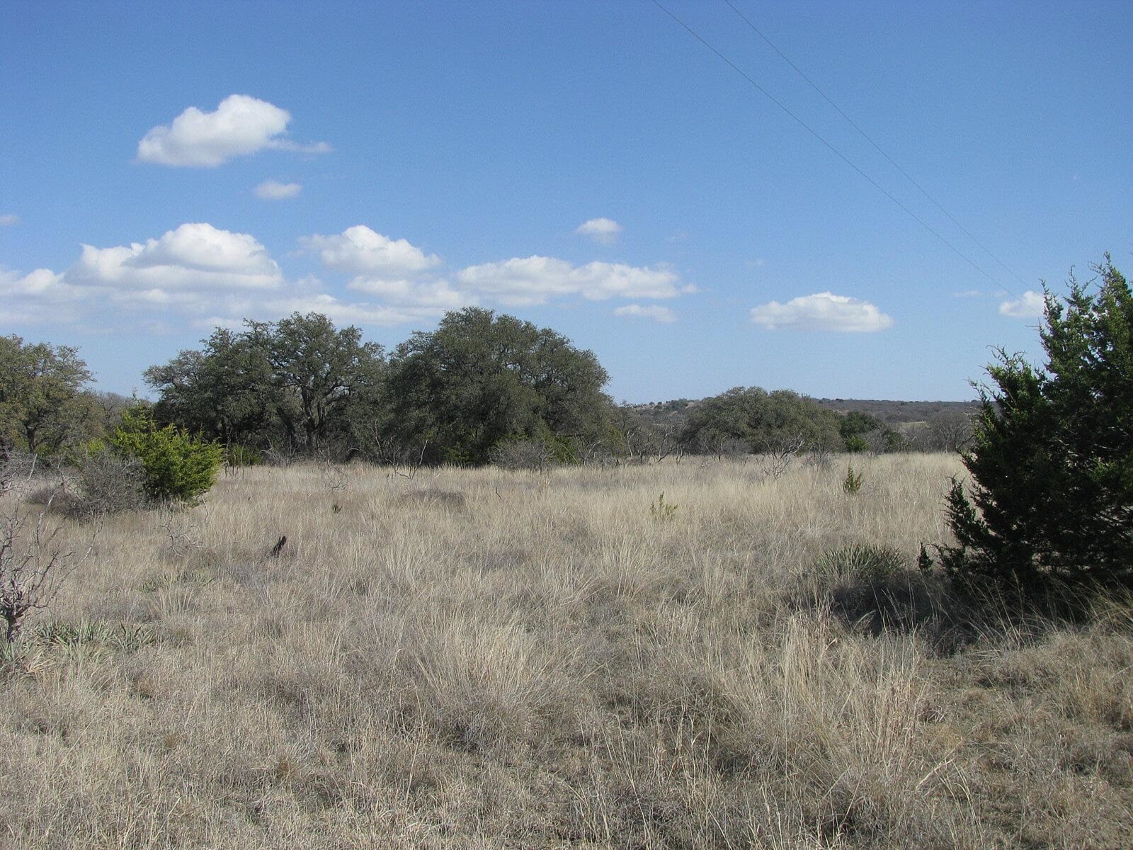 Tbd Fm 2842 Pottsville TX 76565