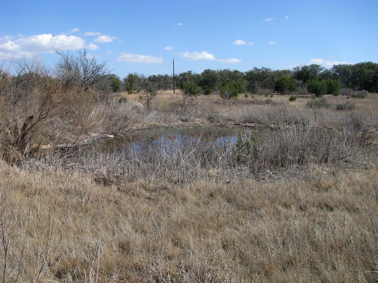 Tbd Fm 2842 Pottsville TX 76565