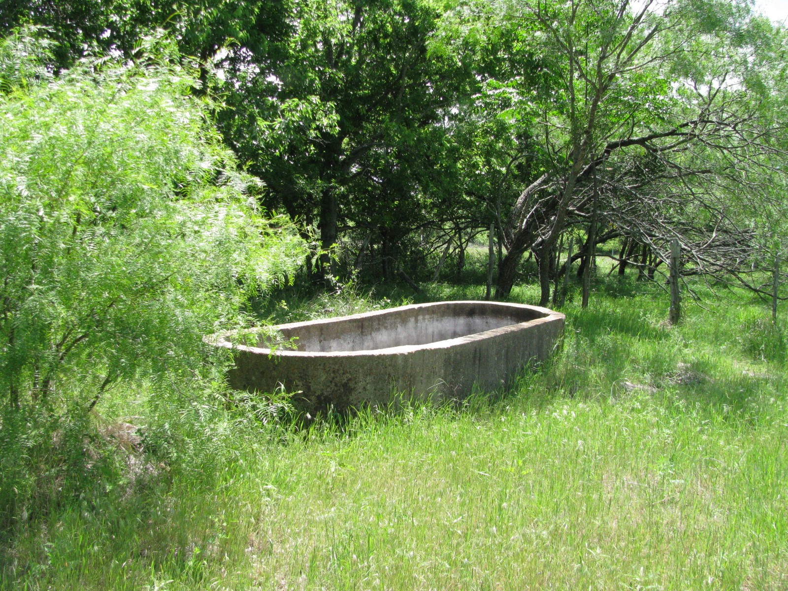 Tbd Fm 2842 Pottsville TX 76565