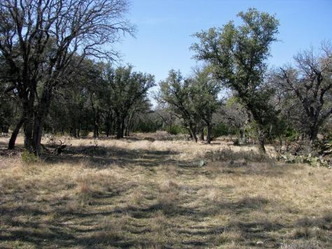 Tbd Fm 2842 Pottsville TX 76565