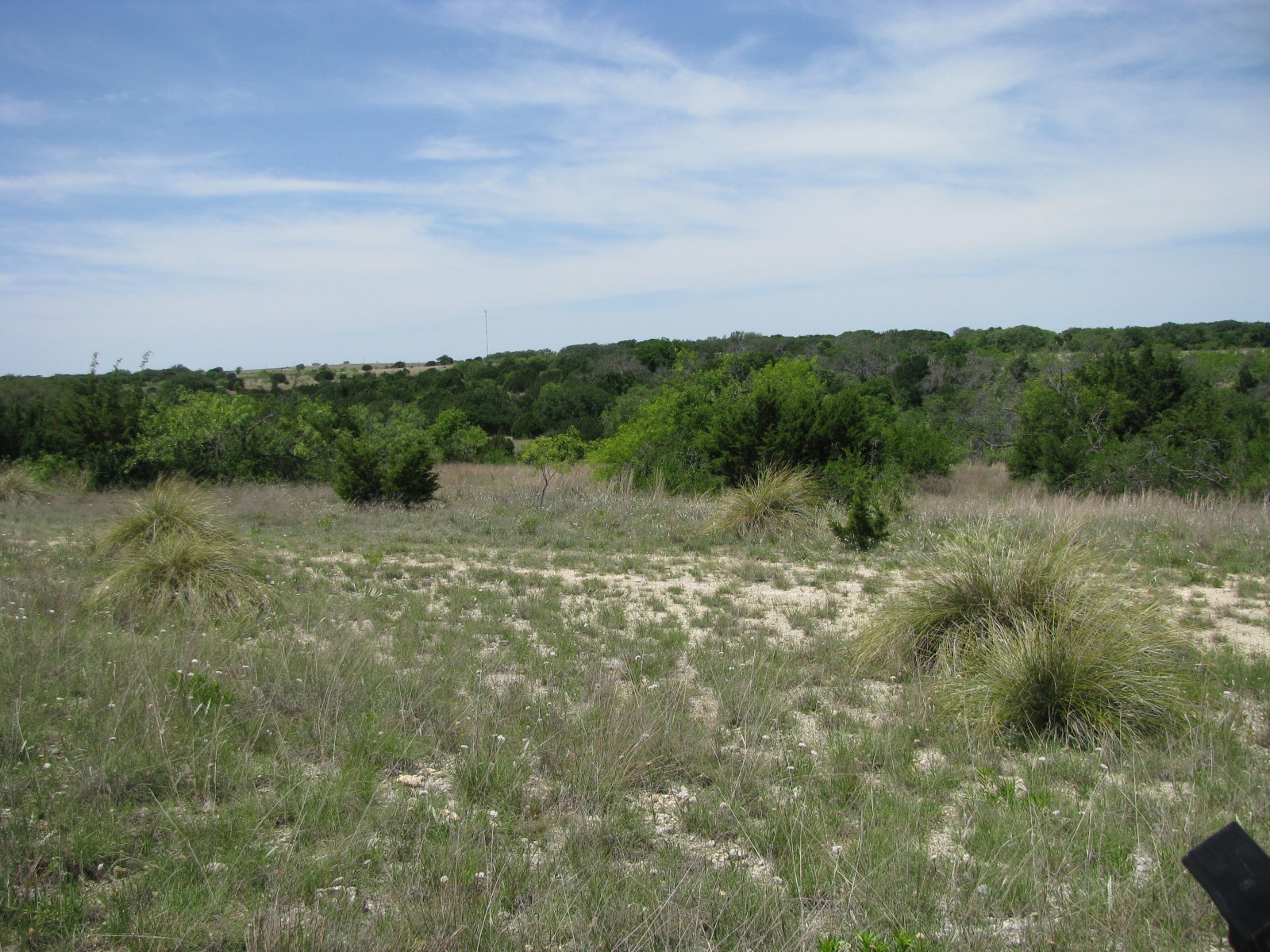 Tbd Fm 2842 Pottsville TX 76565
