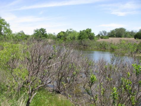 Tbd Fm 2842 Pottsville TX 76565