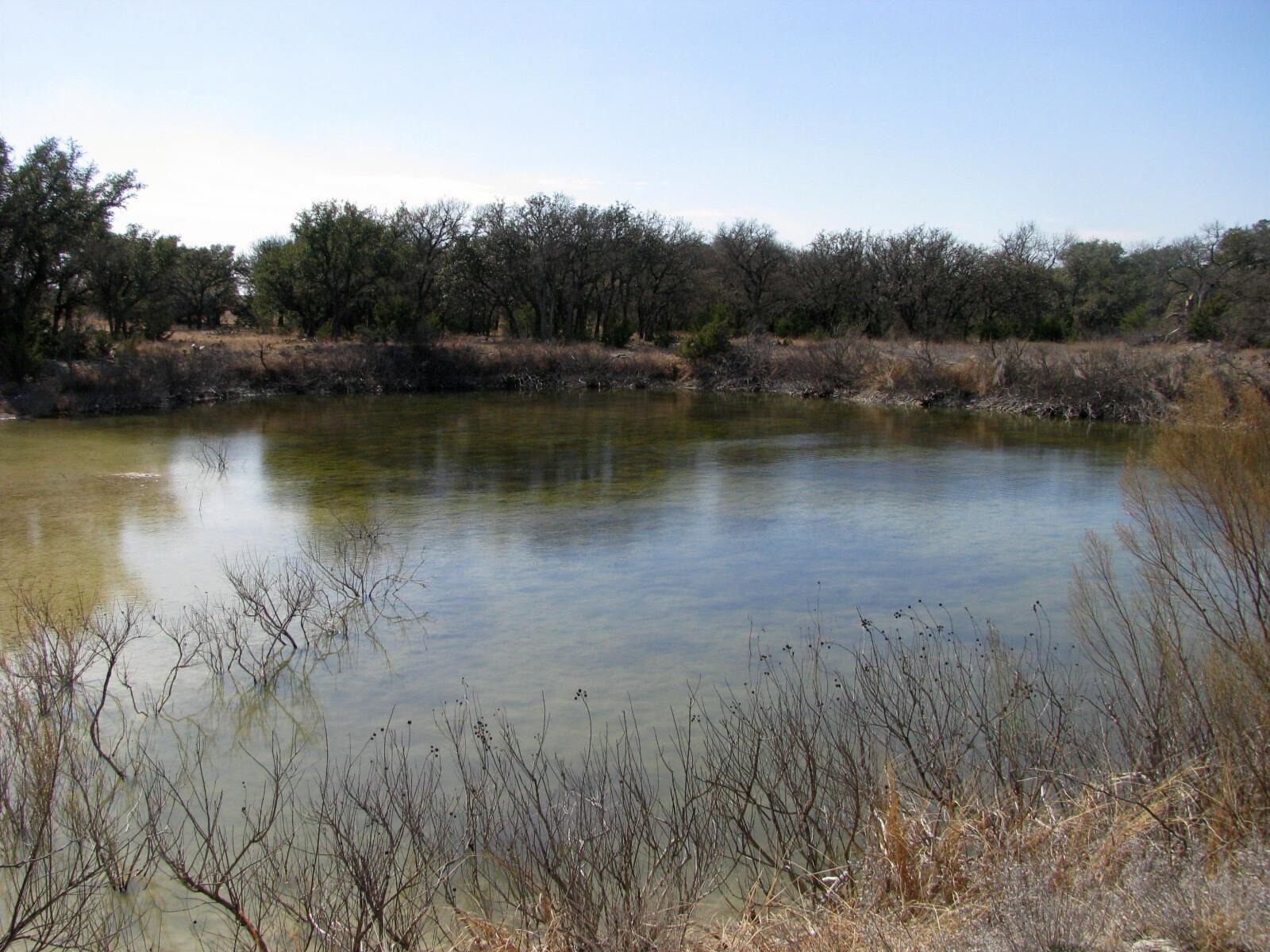 Tbd Fm 2842 Pottsville TX 76565