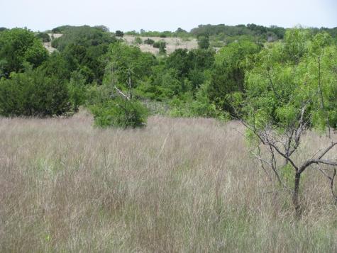 Tbd Fm 2842 Pottsville TX 76565