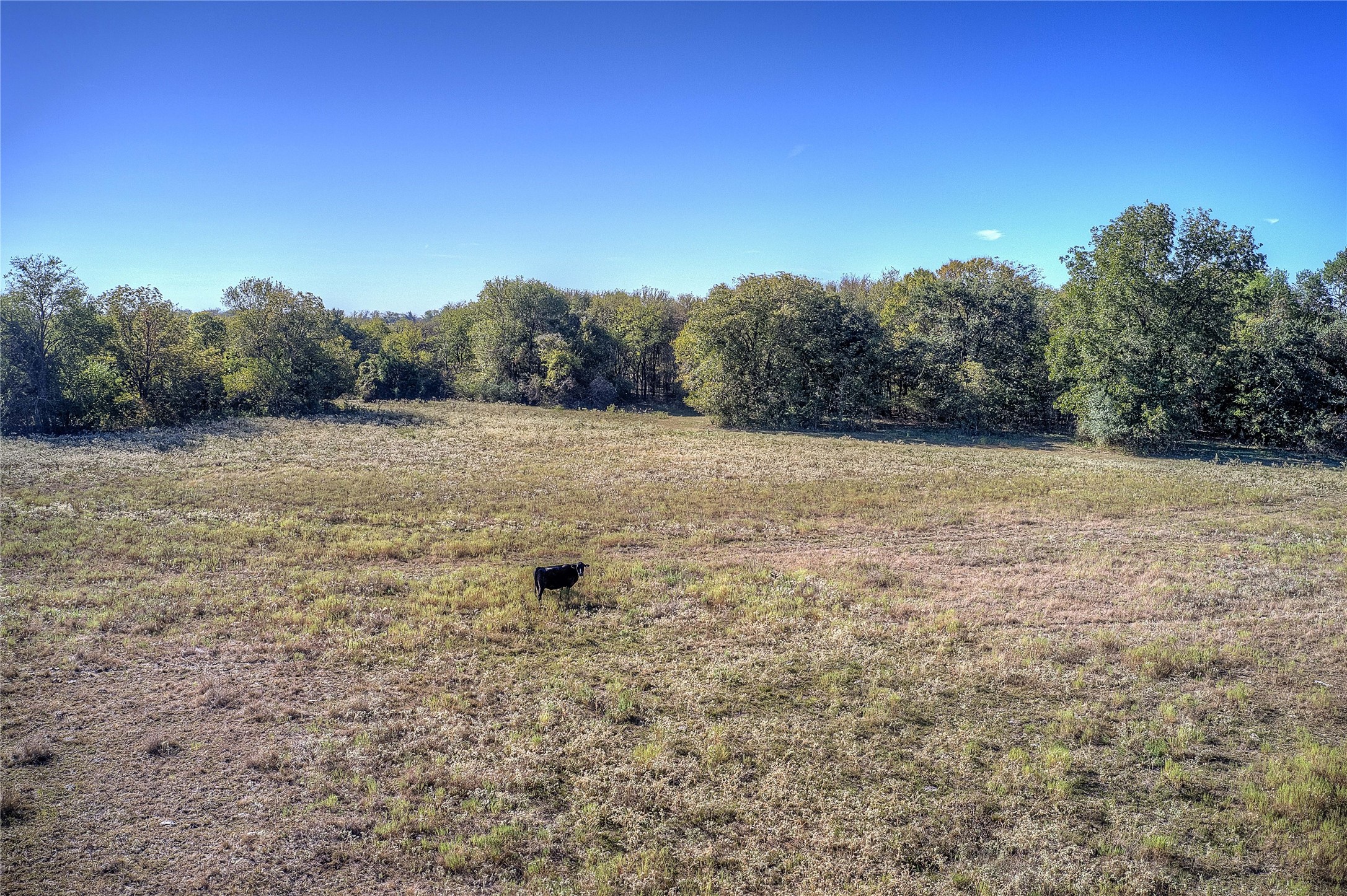 Lot 2 County Road 308 Terrell TX 75161