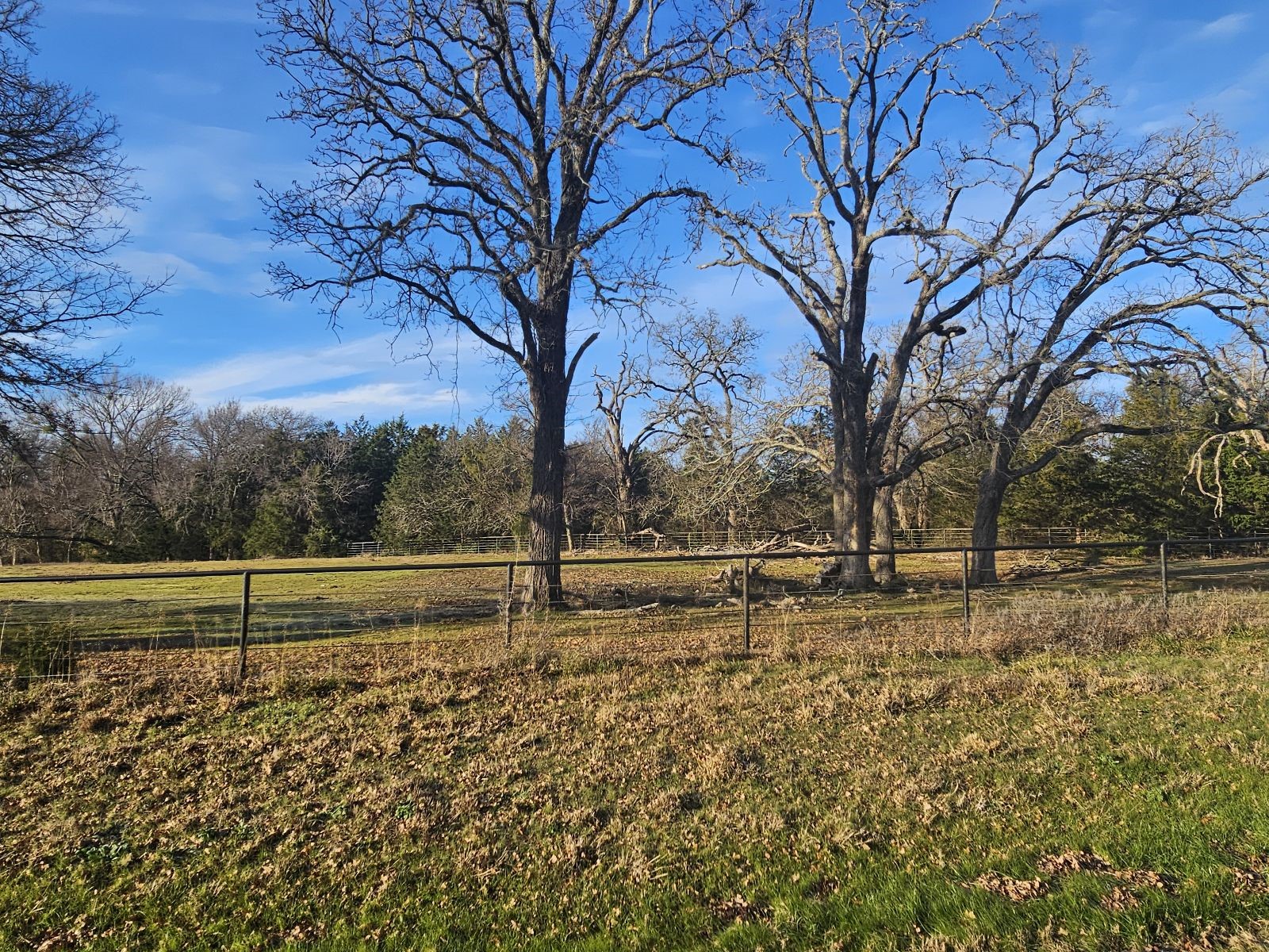 Lot 1 Joe Ramsey Boulevard Greenville TX 75402