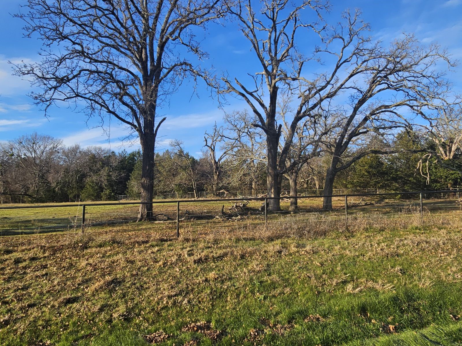 Lot 1 Joe Ramsey Boulevard Greenville TX 75402