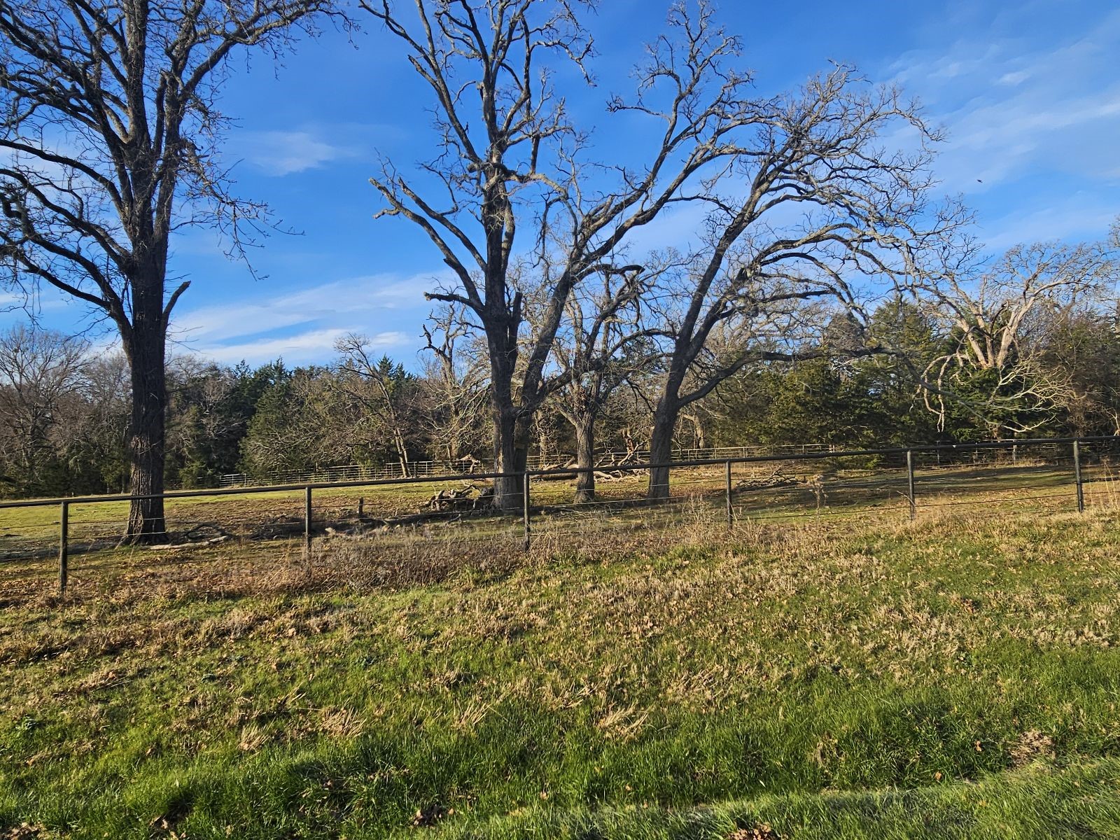 Lot 1 Joe Ramsey Boulevard Greenville TX 75402