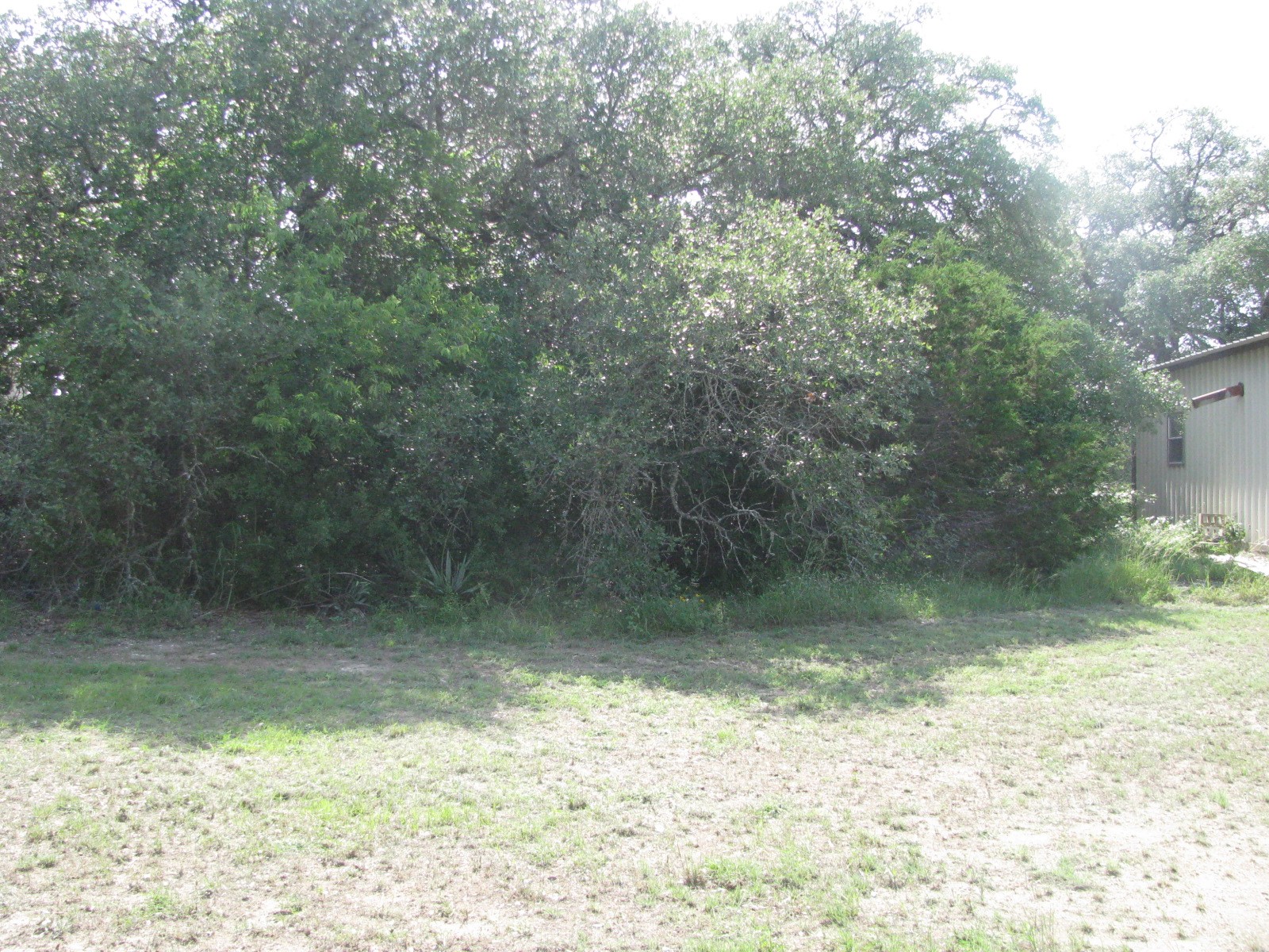 308 Bee House Road Evant TX 76525