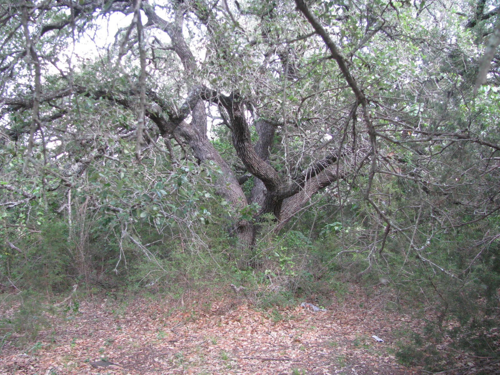 308 Bee House Road Evant TX 76525