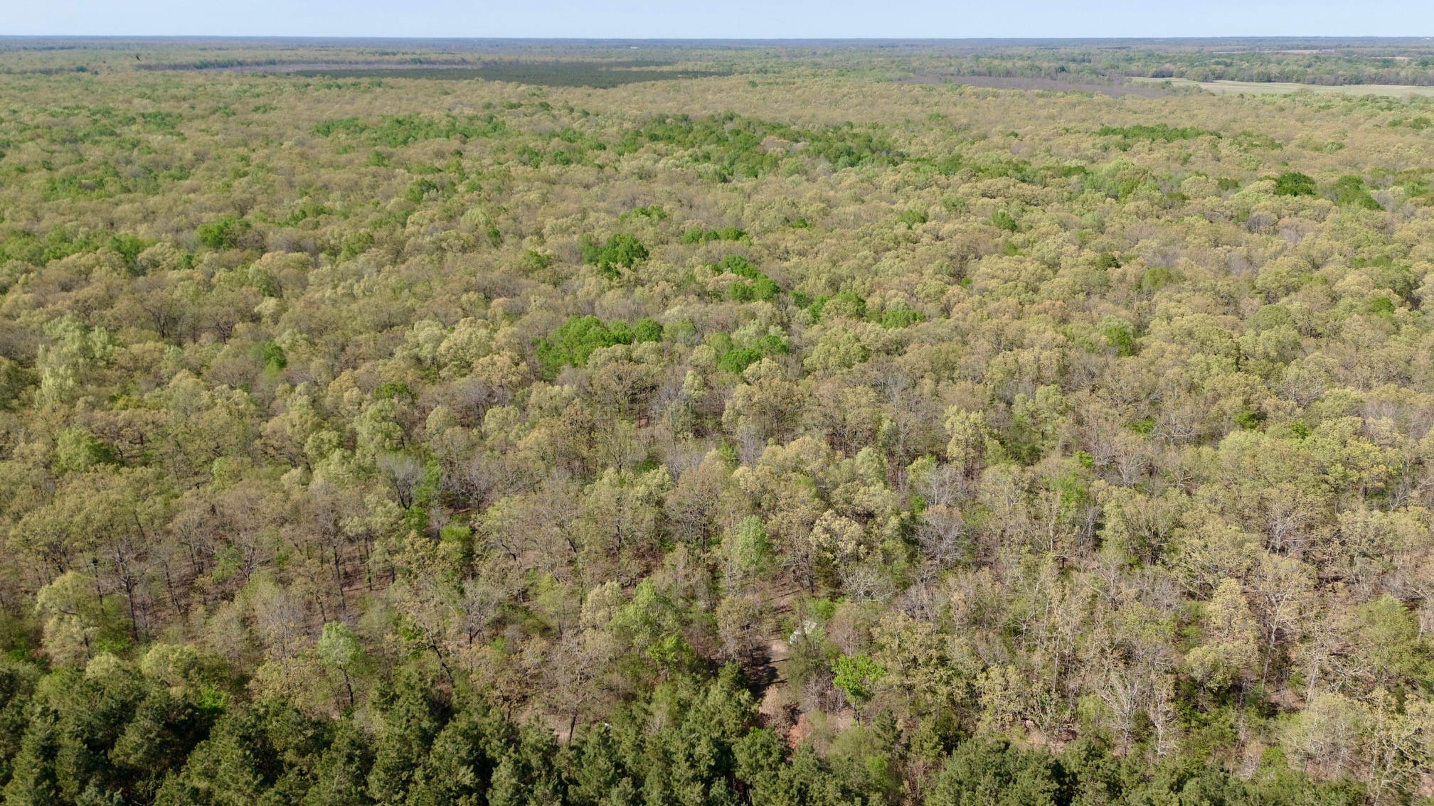 Tbd Fm 909 Bogata TX 75417