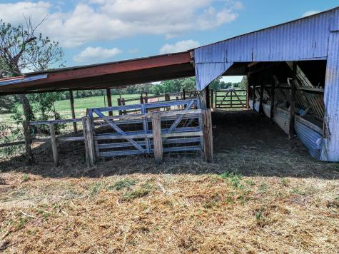 1273 County Road 1236 Quitman TX 75783