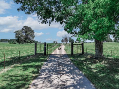 1273 County Road 1236 Quitman TX 75783