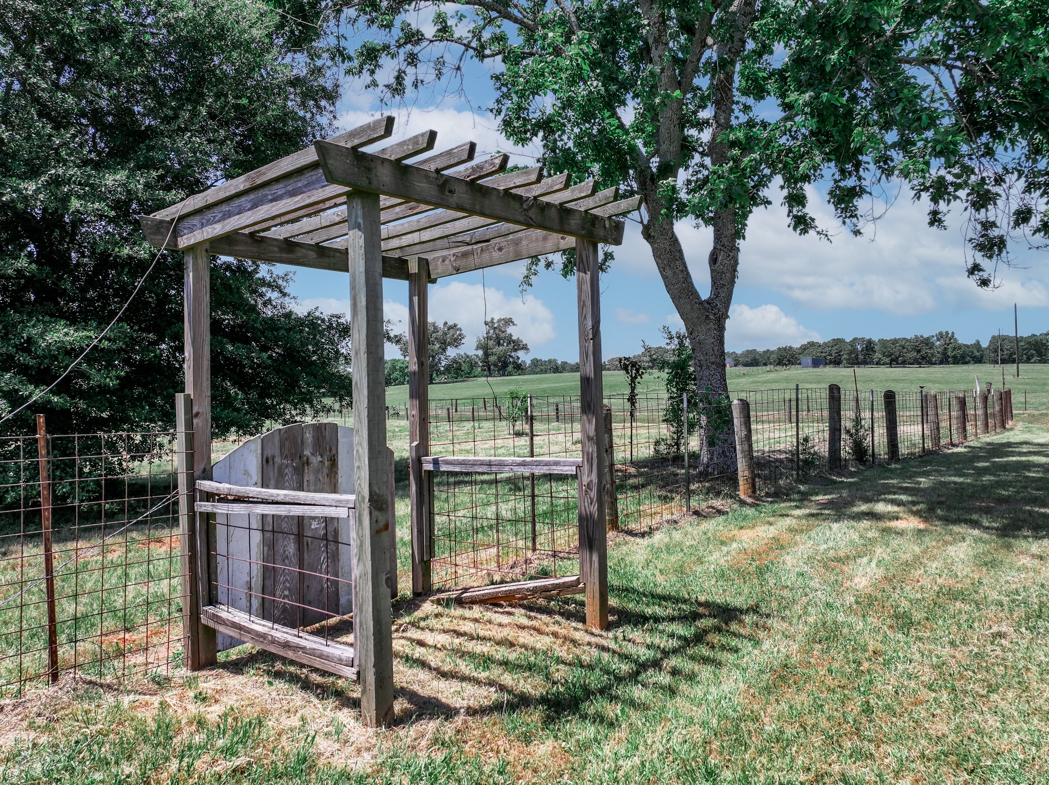1273 County Road 1236 Quitman TX 75783