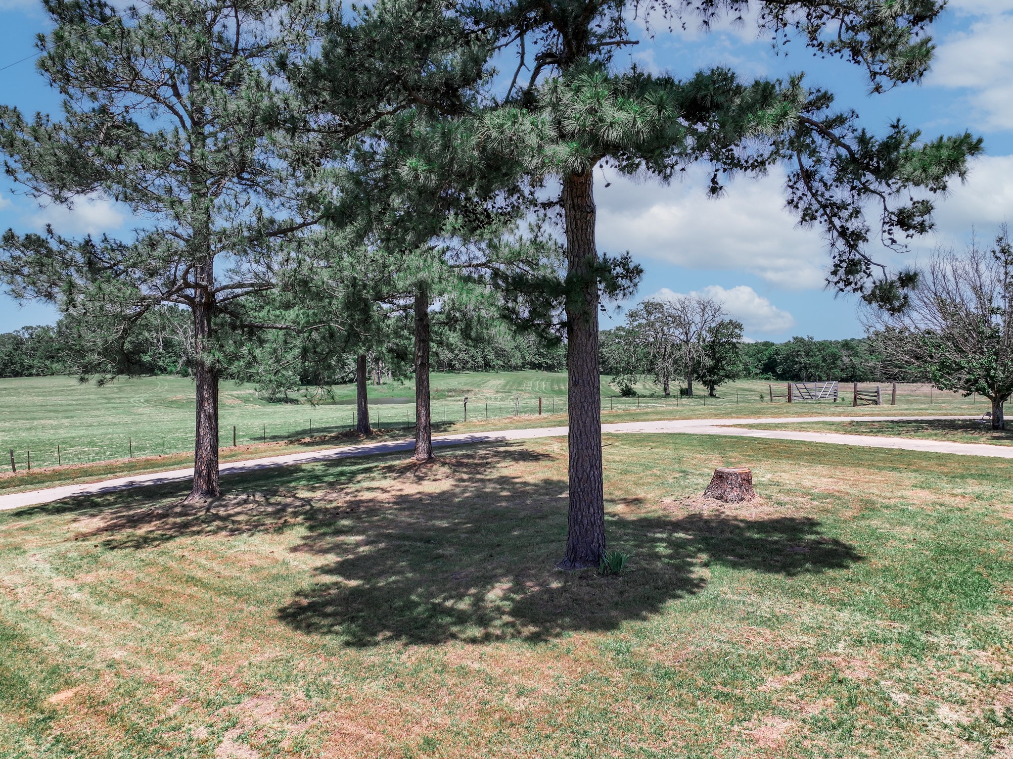 1273 County Road 1236 Quitman TX 75783