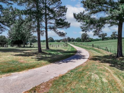 1273 County Road 1236 Quitman TX 75783