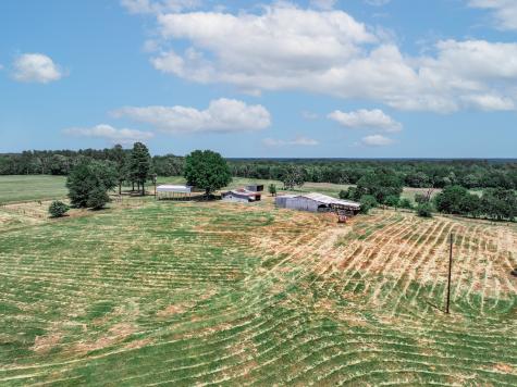 1273 County Road 1236 Quitman TX 75783