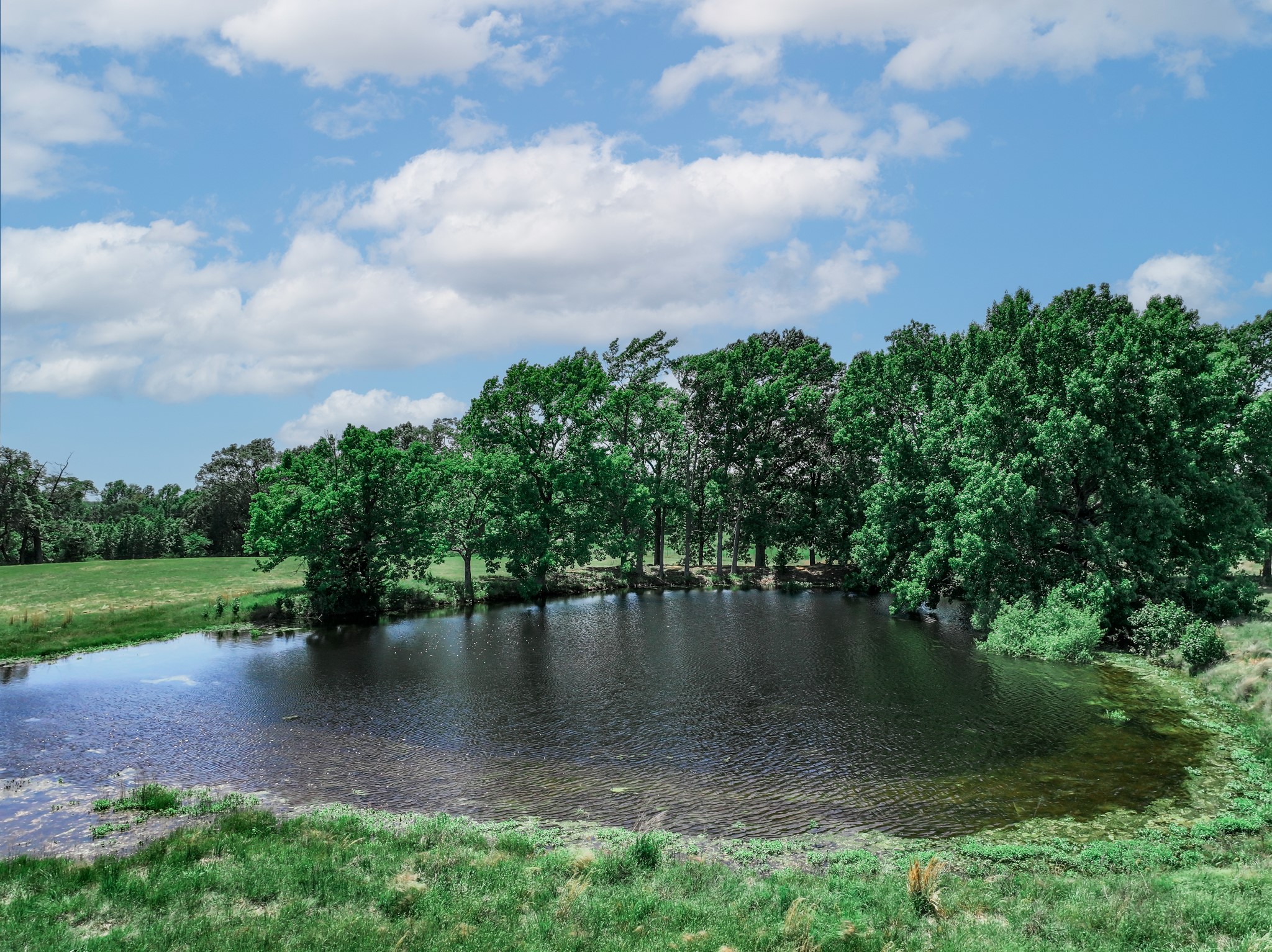 1273 County Road 1236 Quitman TX 75783