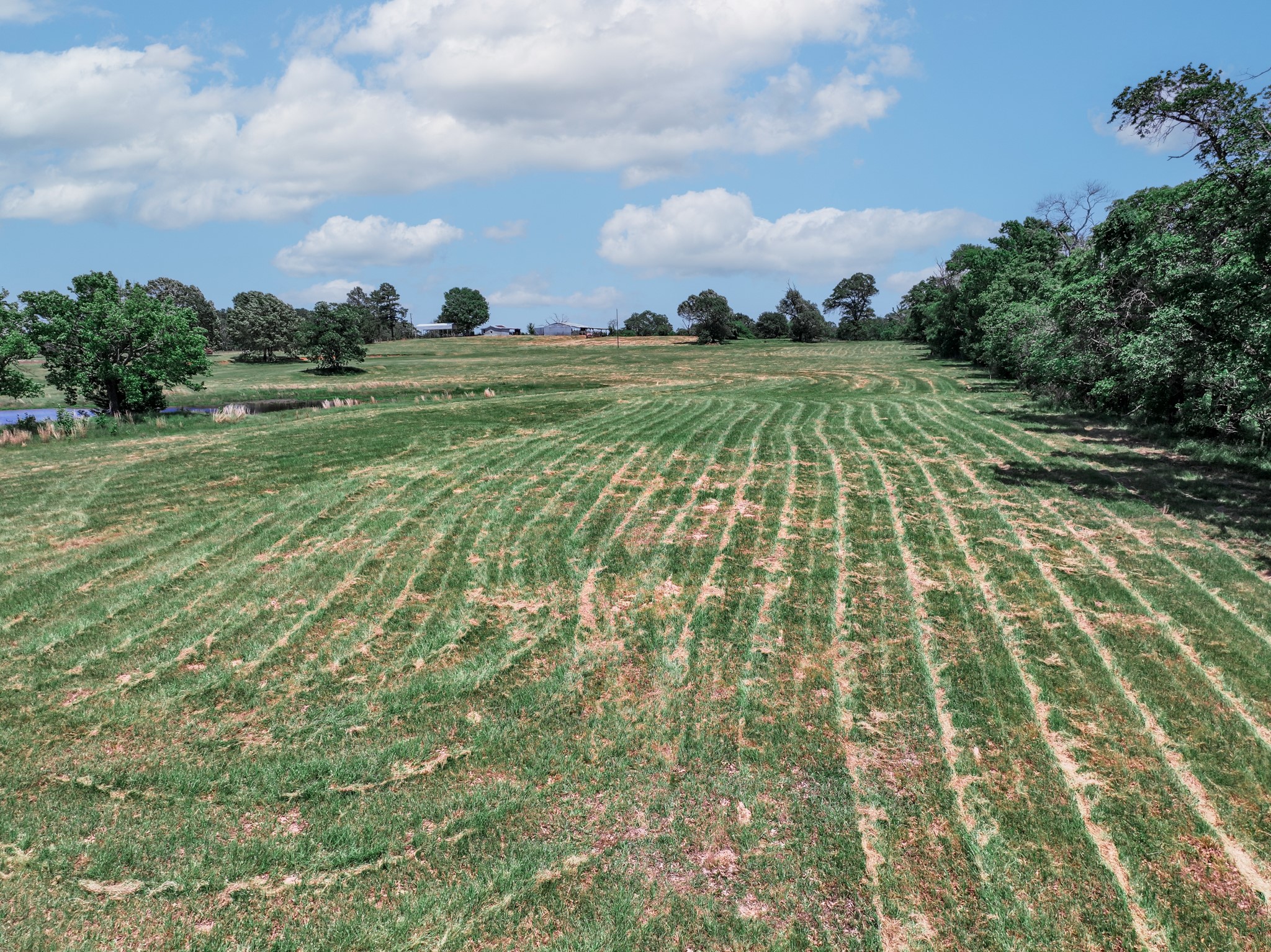 1273 County Road 1236 Quitman TX 75783