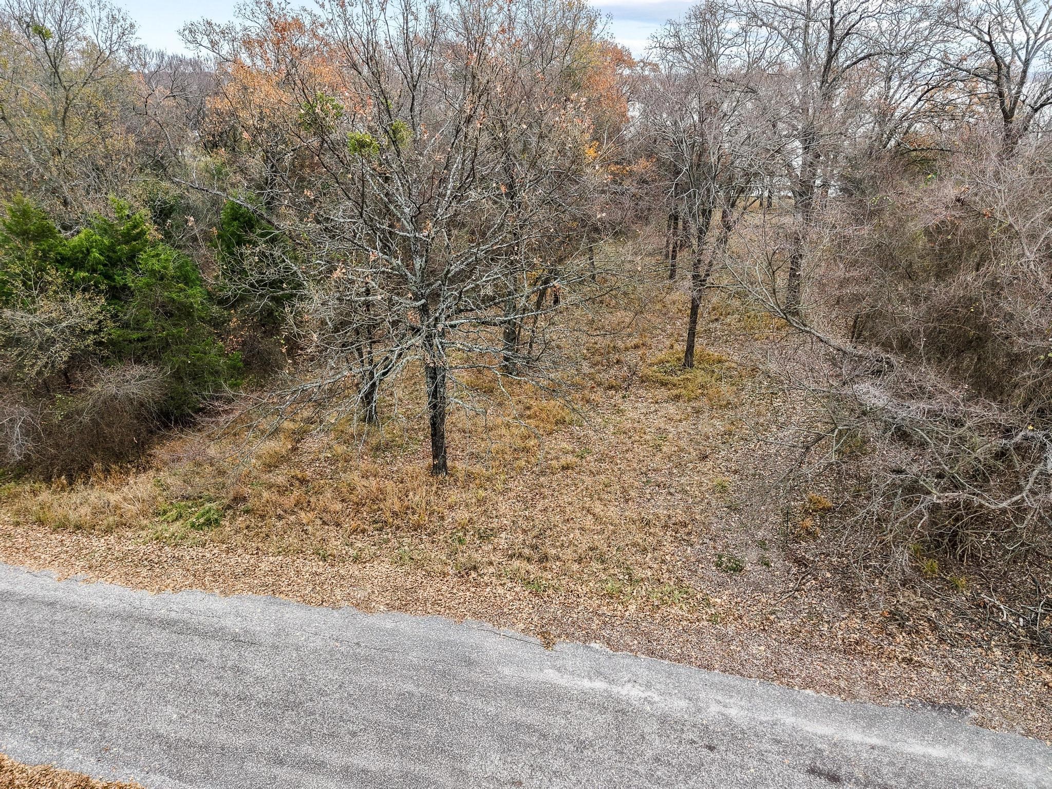 Lot 15 Rs County Road 3400 Emory TX 75440