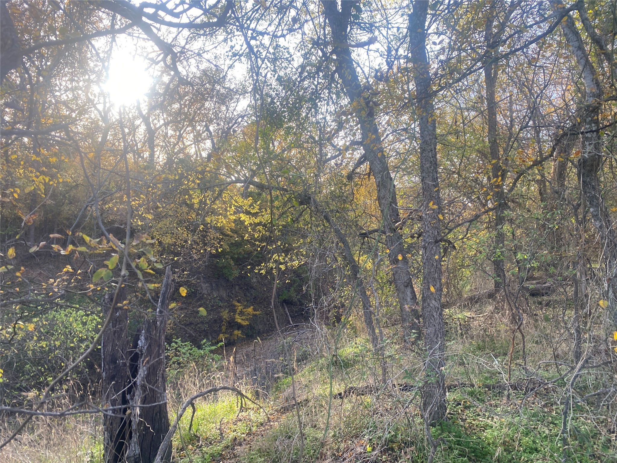1251 # 3 Cr 360 Gustine TX 76455