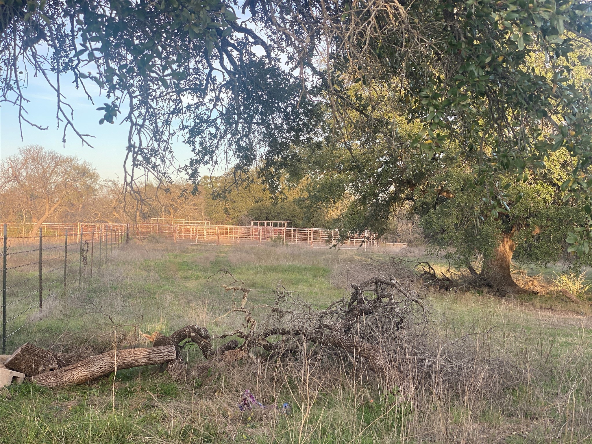 1251 # 3 Cr 360 Gustine TX 76455