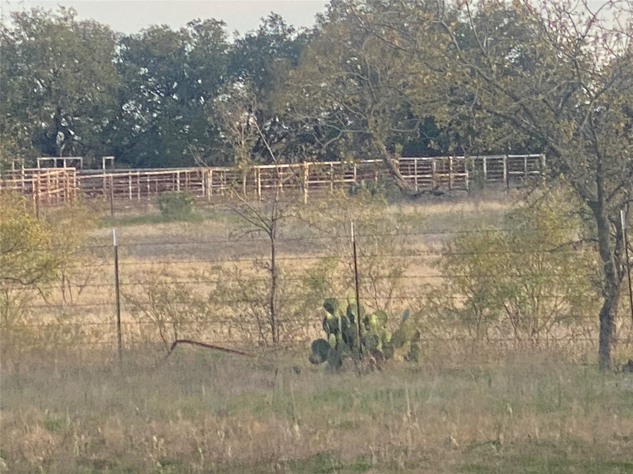 1251 # 3 Cr 360 Gustine TX 76455