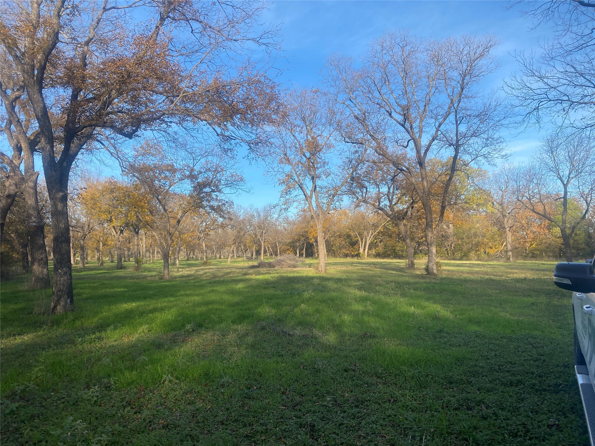 1251 # 3 Cr 360 Gustine TX 76455