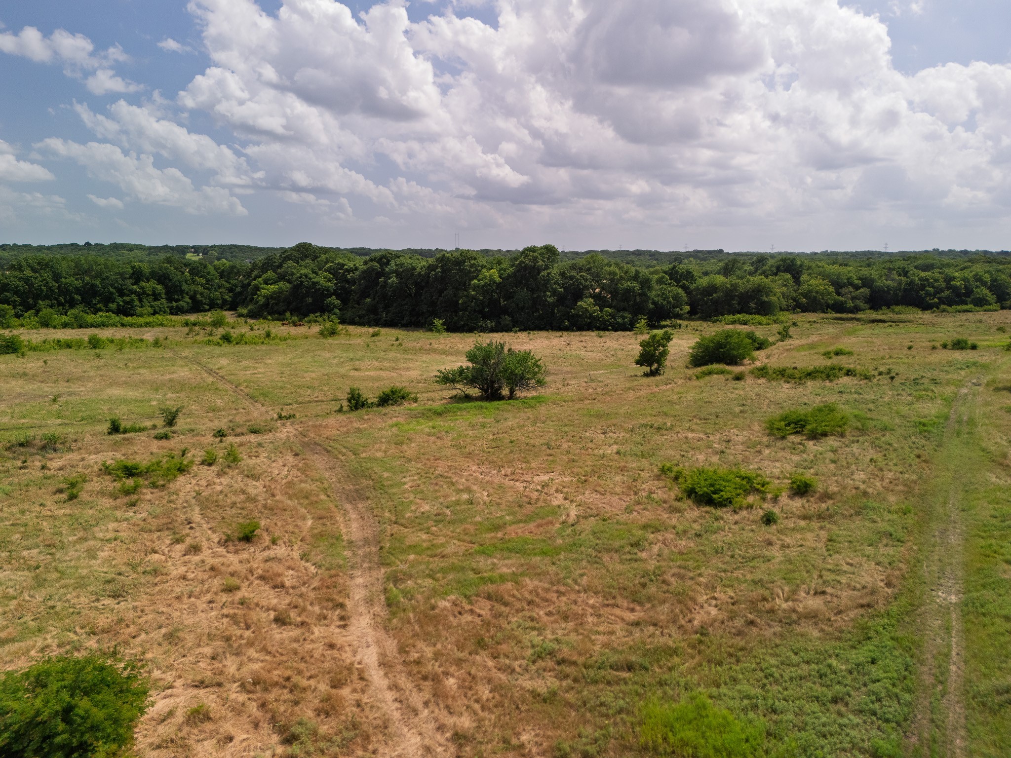 15ACRES Fm 1752 Savoy TX 75479