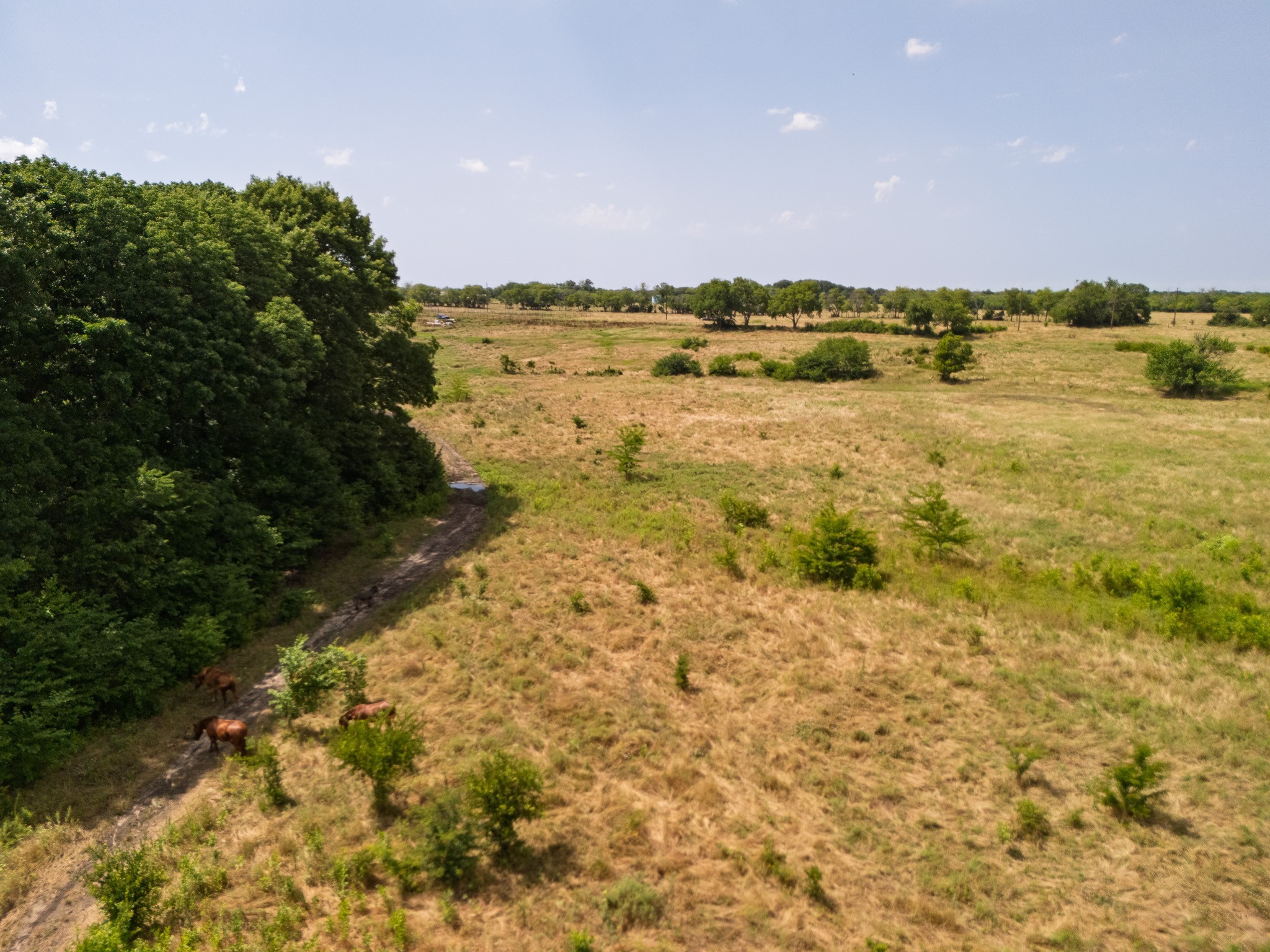 15ACRES Fm 1752 Savoy TX 75479