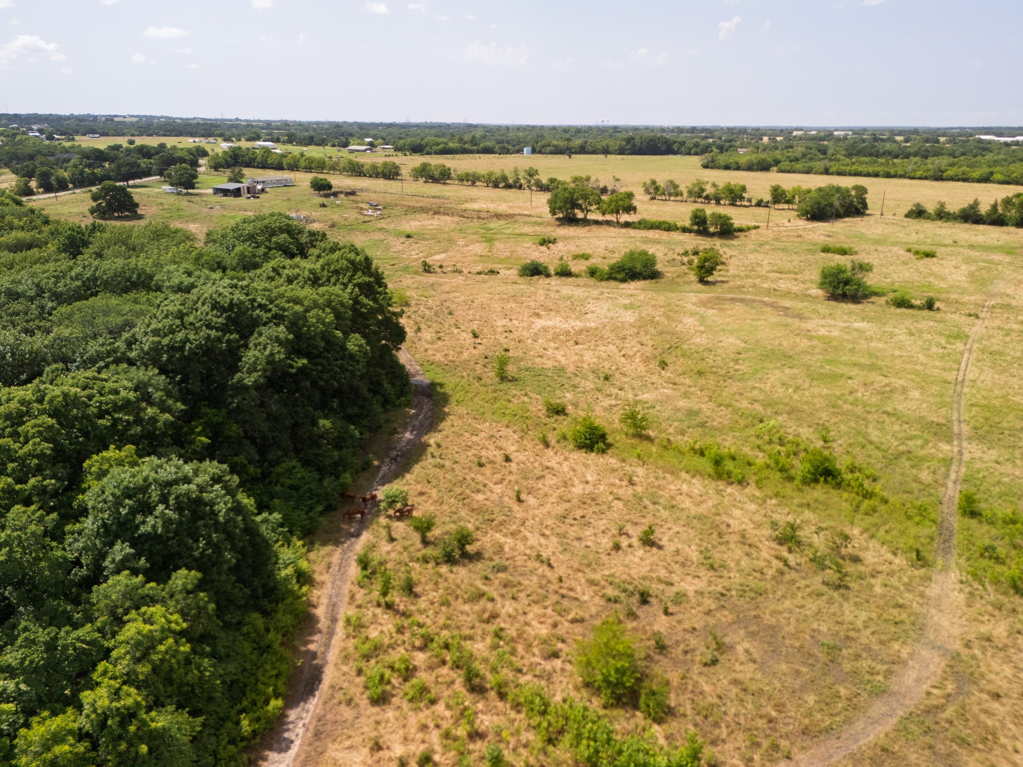 15ACRES Fm 1752 Savoy TX 75479