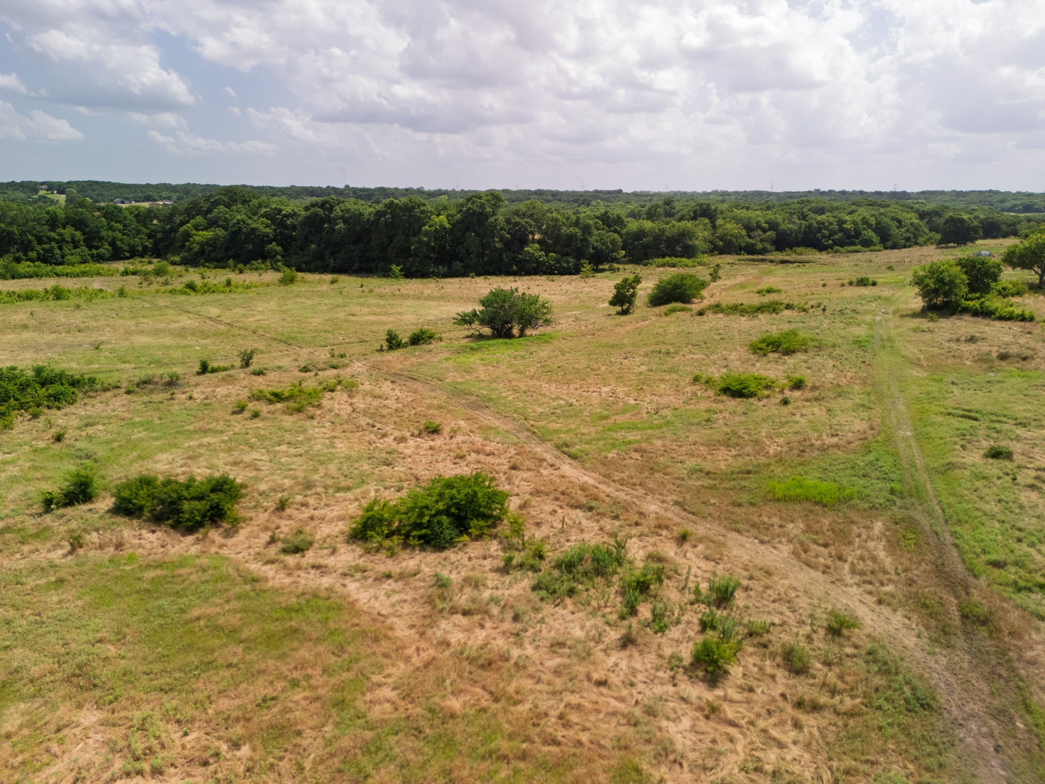 15ACRES Fm 1752 Savoy TX 75479