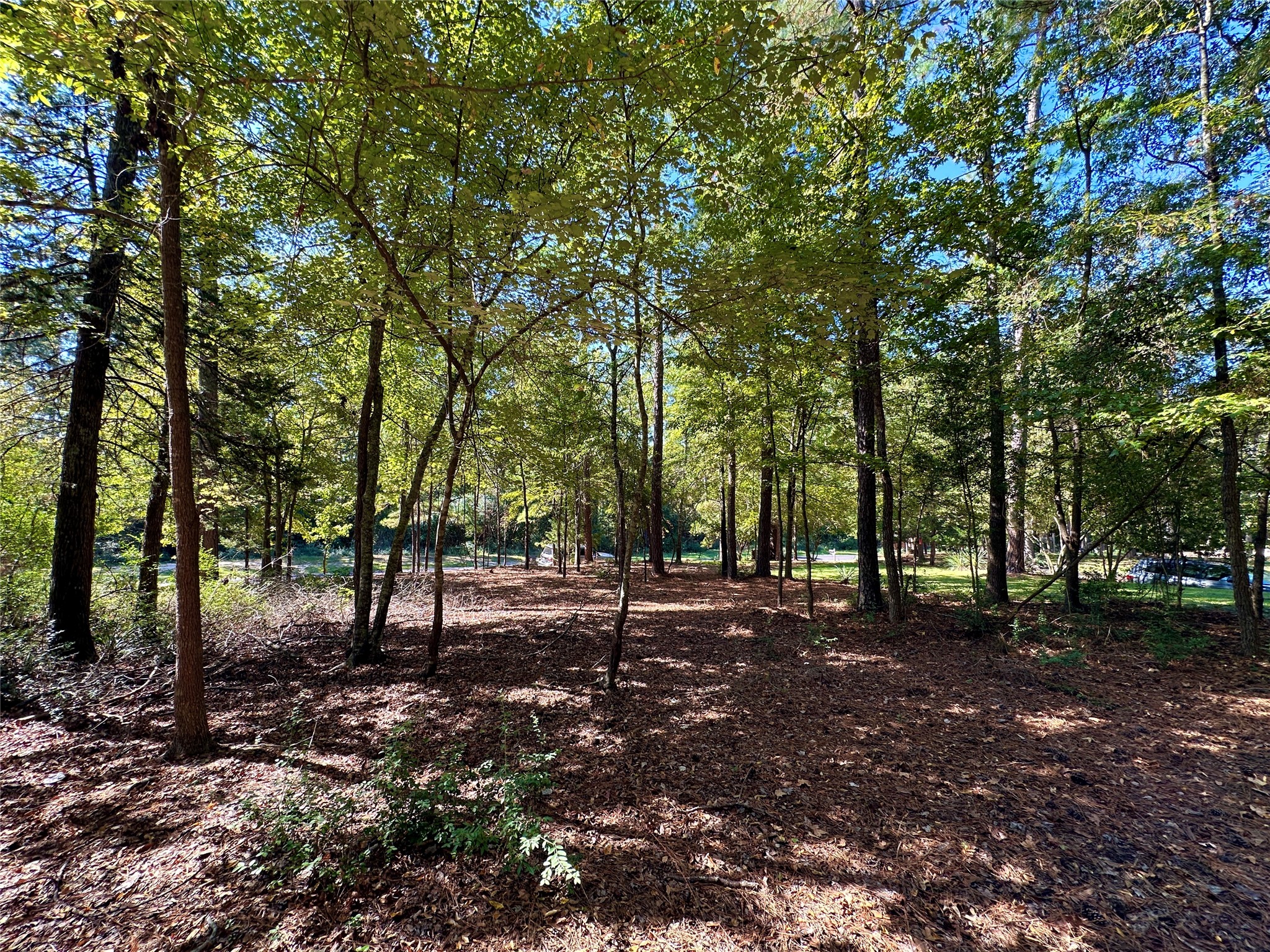 Tbd Holly Trail Holly Lake Ranch TX 75765