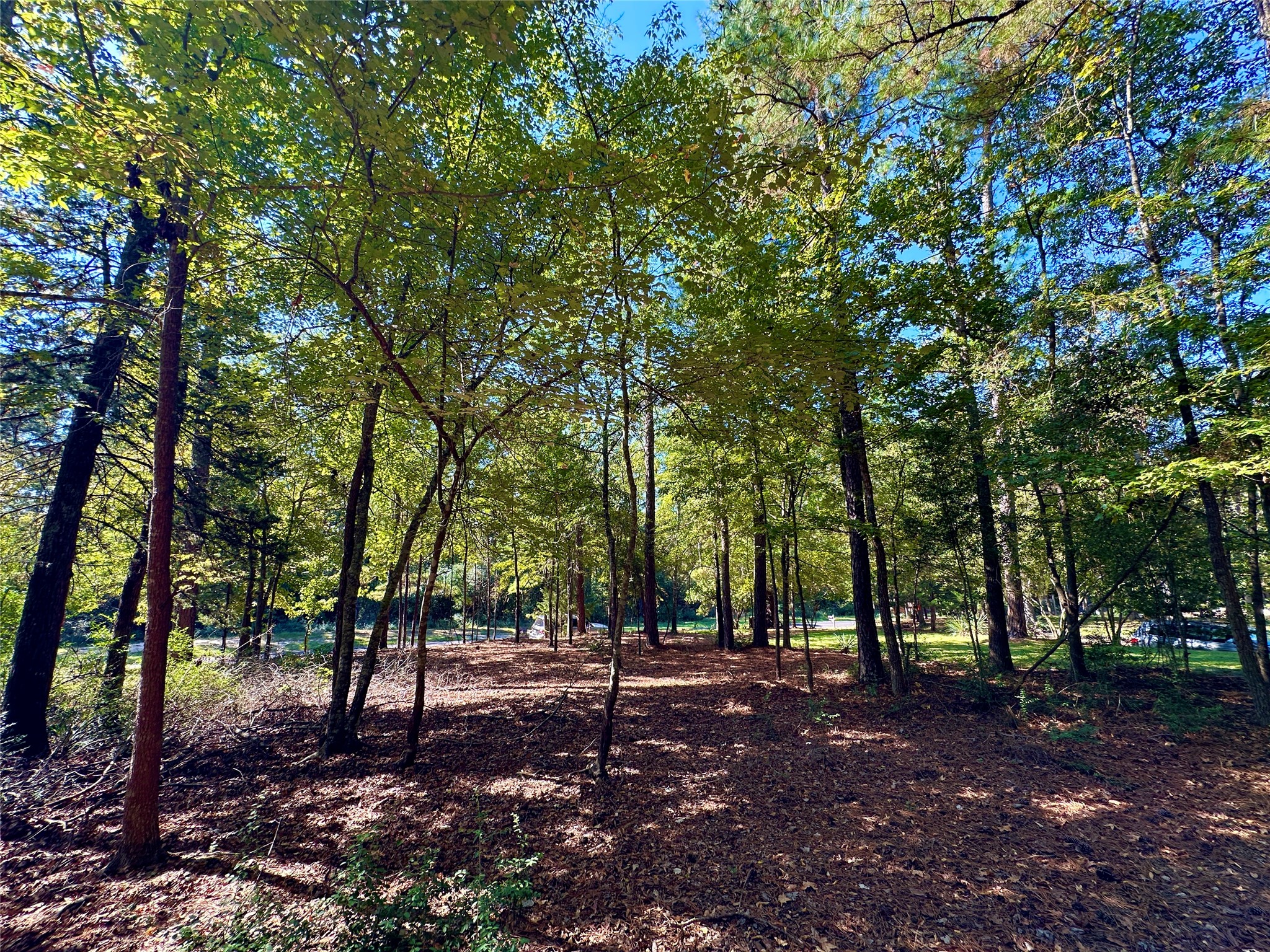 Tbd Holly Trail Holly Lake Ranch TX 75765