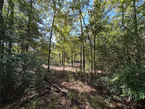 Tbd Holly Trail Holly Lake Ranch TX 75765