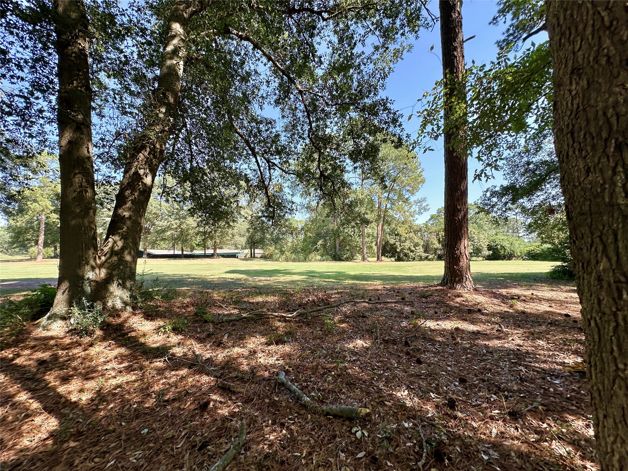 Tbd Holly Trail Holly Lake Ranch TX 75765