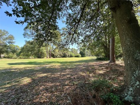 Tbd Holly Trail Holly Lake Ranch TX 75765