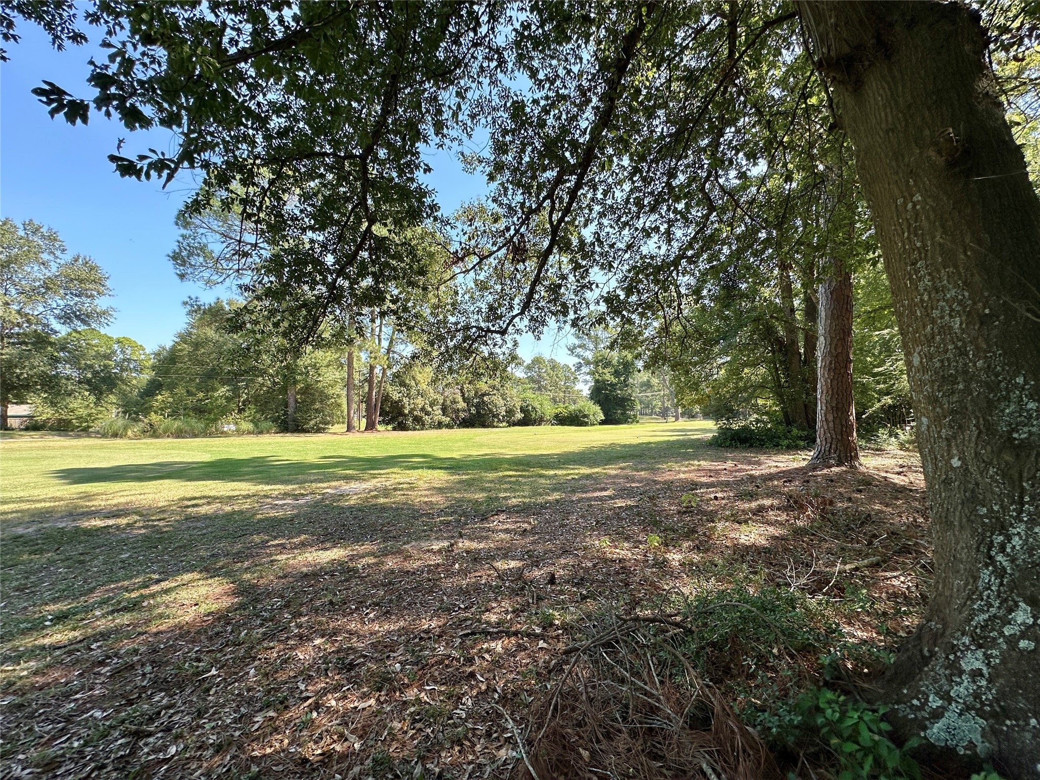 Tbd Holly Trail Holly Lake Ranch TX 75765