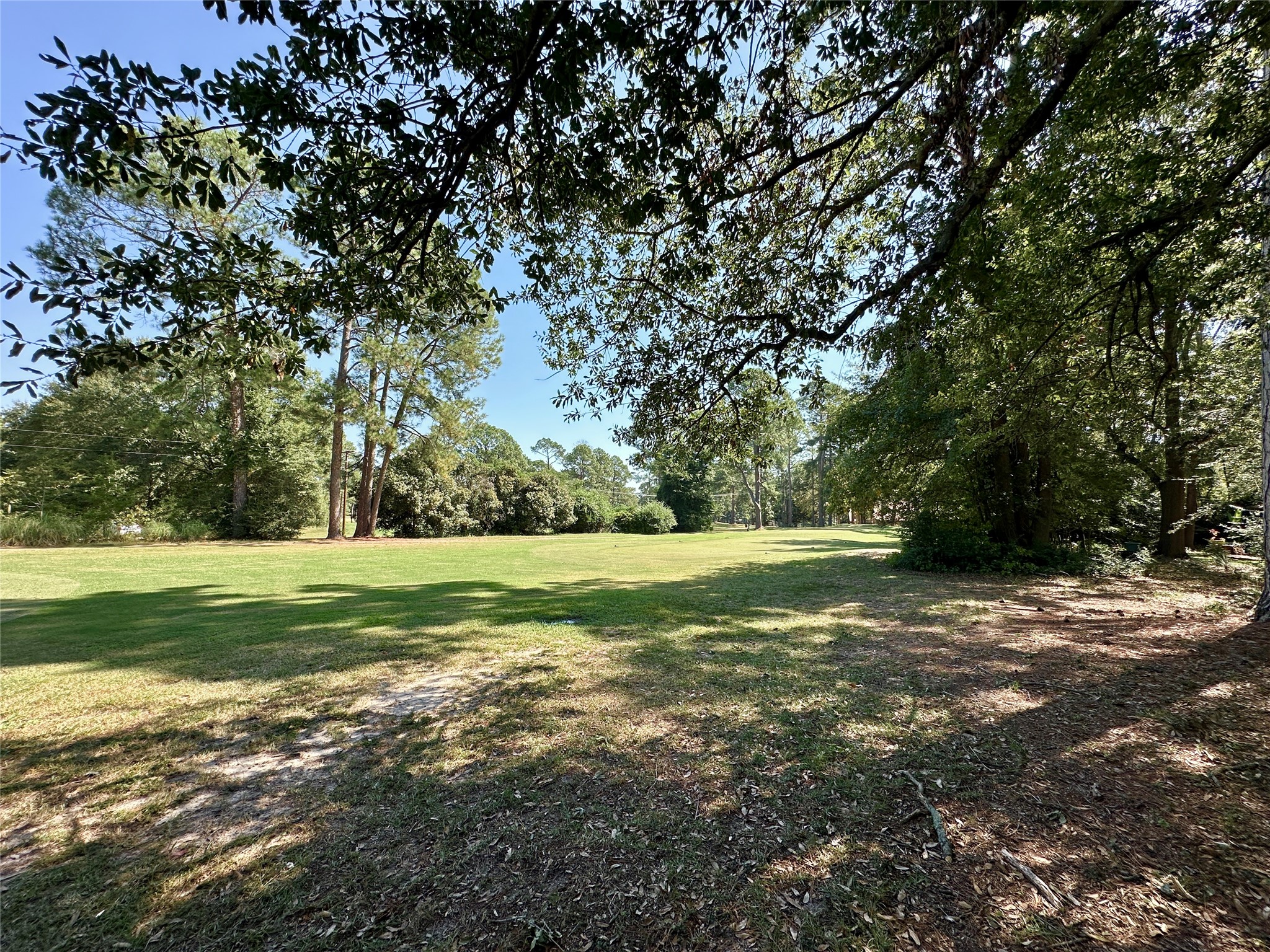 Tbd Holly Trail Holly Lake Ranch TX 75765