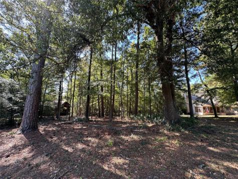 Tbd Holly Trail Holly Lake Ranch TX 75765