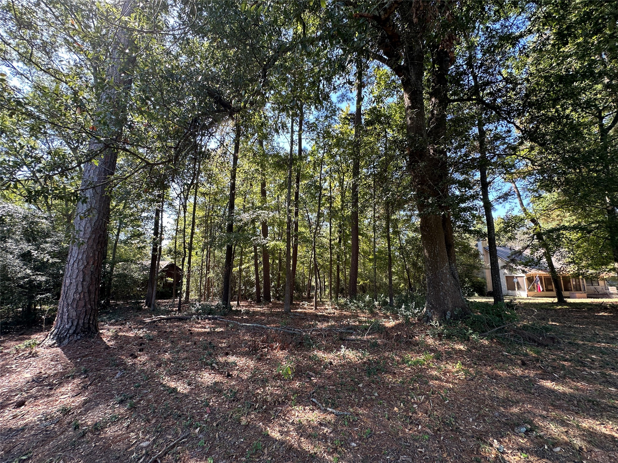 Tbd Holly Trail Holly Lake Ranch TX 75765