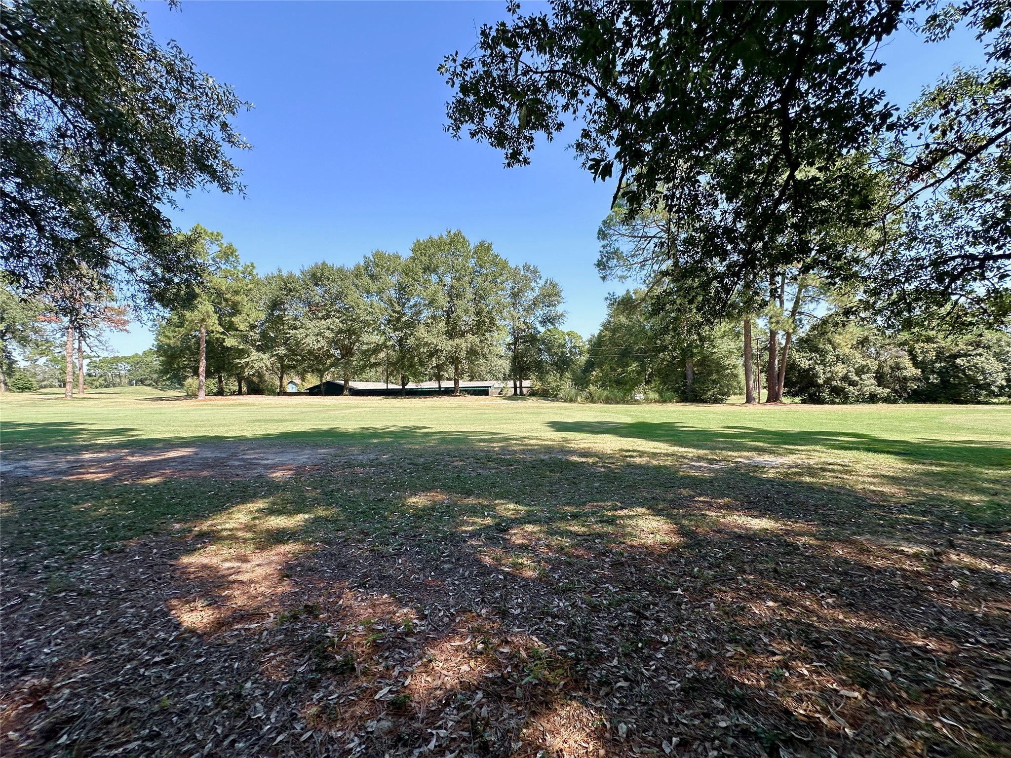 Tbd Holly Trail Holly Lake Ranch TX 75765