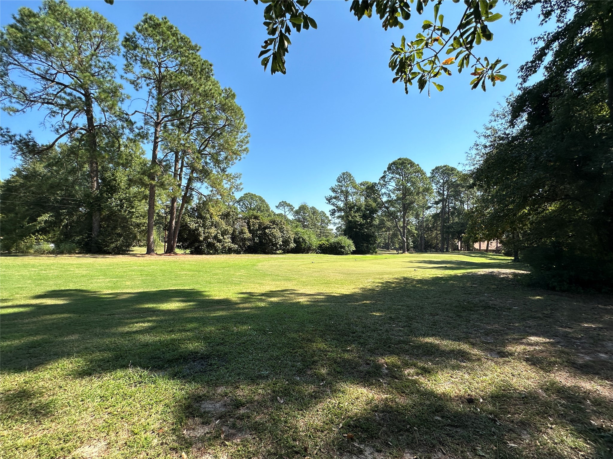 Tbd Holly Trail Holly Lake Ranch TX 75765