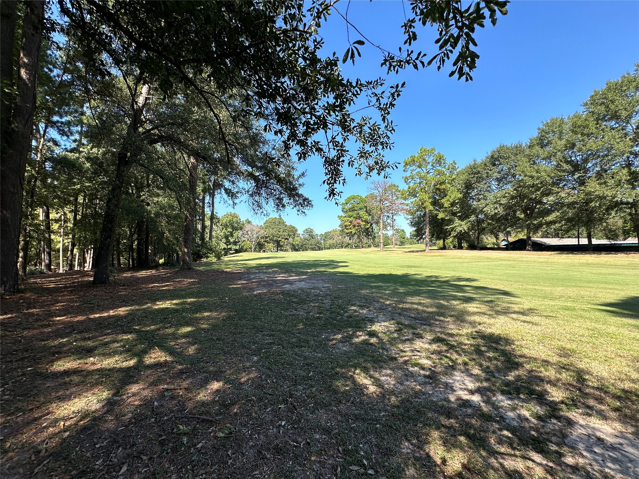 Tbd Holly Trail Holly Lake Ranch TX 75765