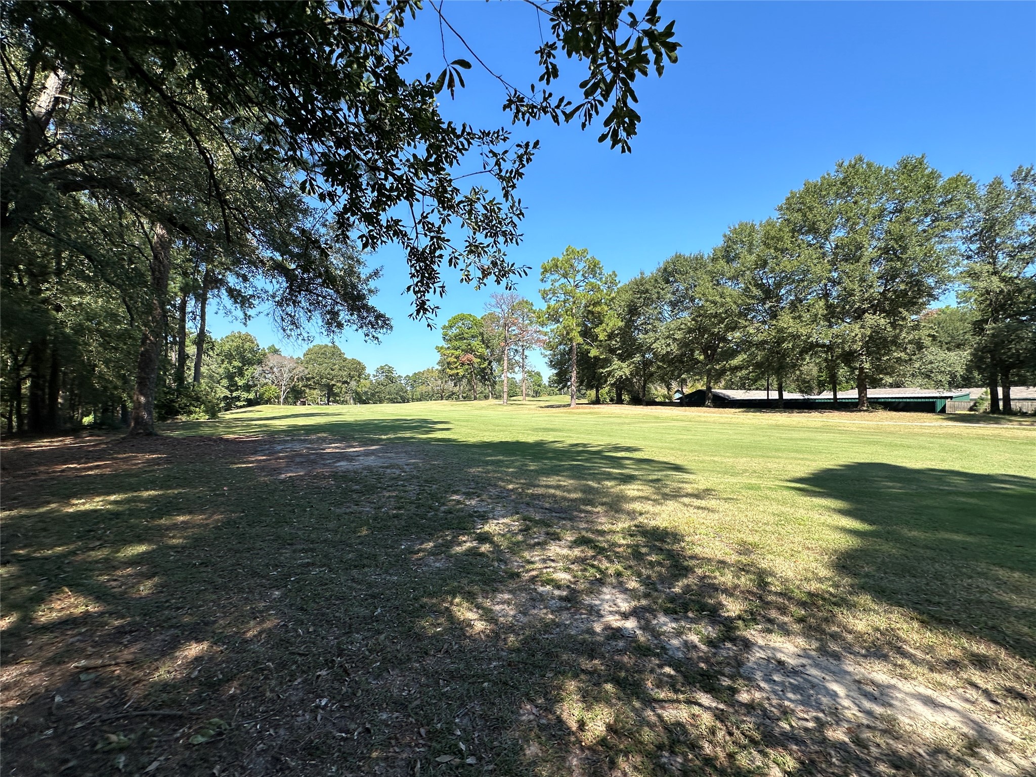 Tbd Holly Trail Holly Lake Ranch TX 75765