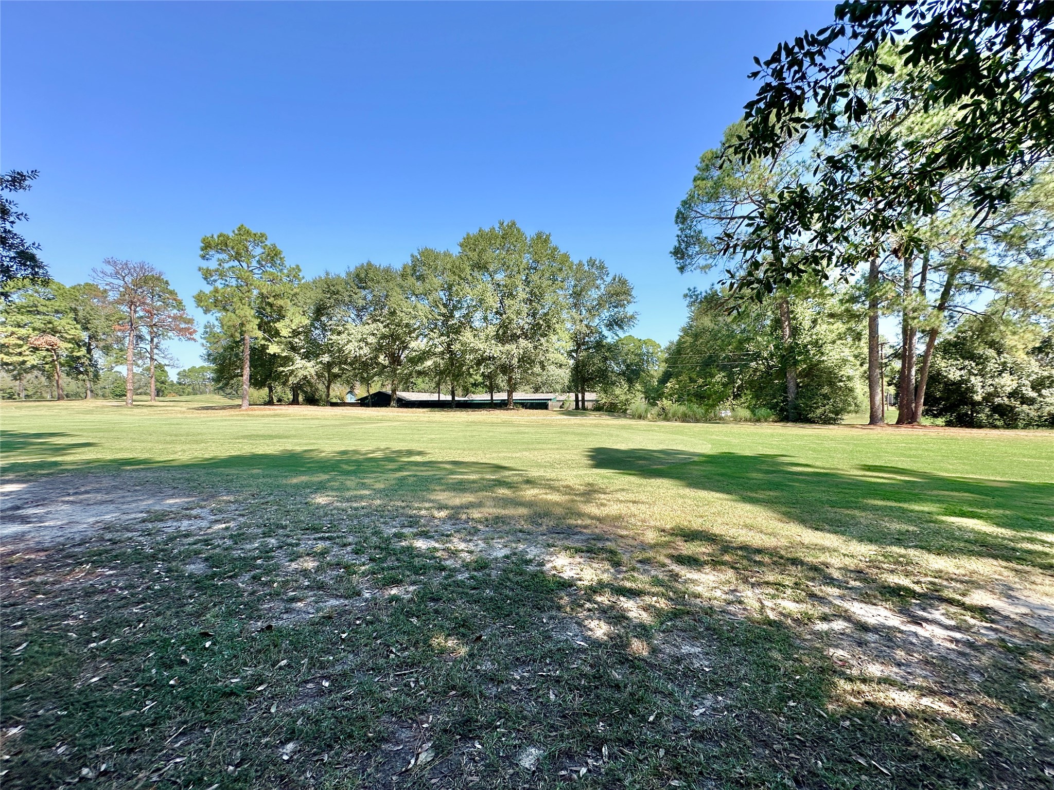 Tbd Holly Trail Holly Lake Ranch TX 75765