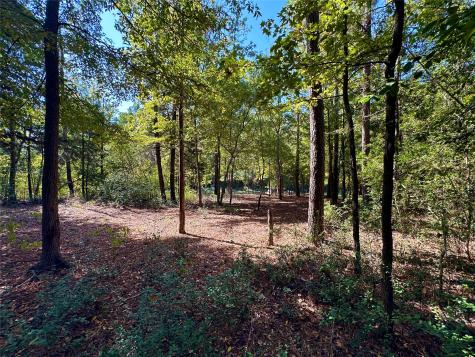 Tbd Holly Trail Holly Lake Ranch TX 75765