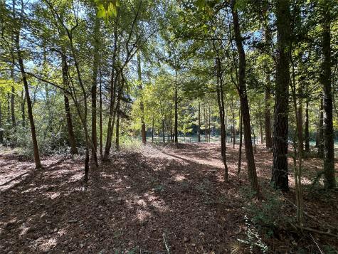 Tbd Holly Trail Holly Lake Ranch TX 75765