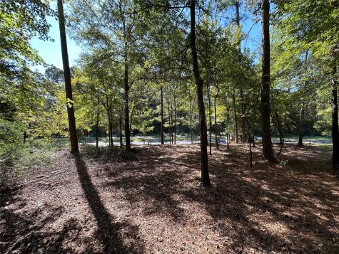 Tbd Holly Trail Holly Lake Ranch TX 75765
